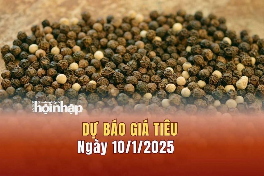 Dự báo giá tiêu 10/1: Giá tiêu nội địa tiếp tục tăng mạnh