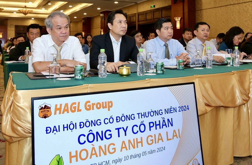 Nguyên nhân Hoàng Anh Gia Lai giải thể công ty con Nguyên nhân Hoàng Anh Gia Lai giải thể công ty con