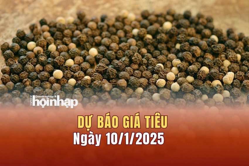 Dự báo giá tiêu 10/1/2025