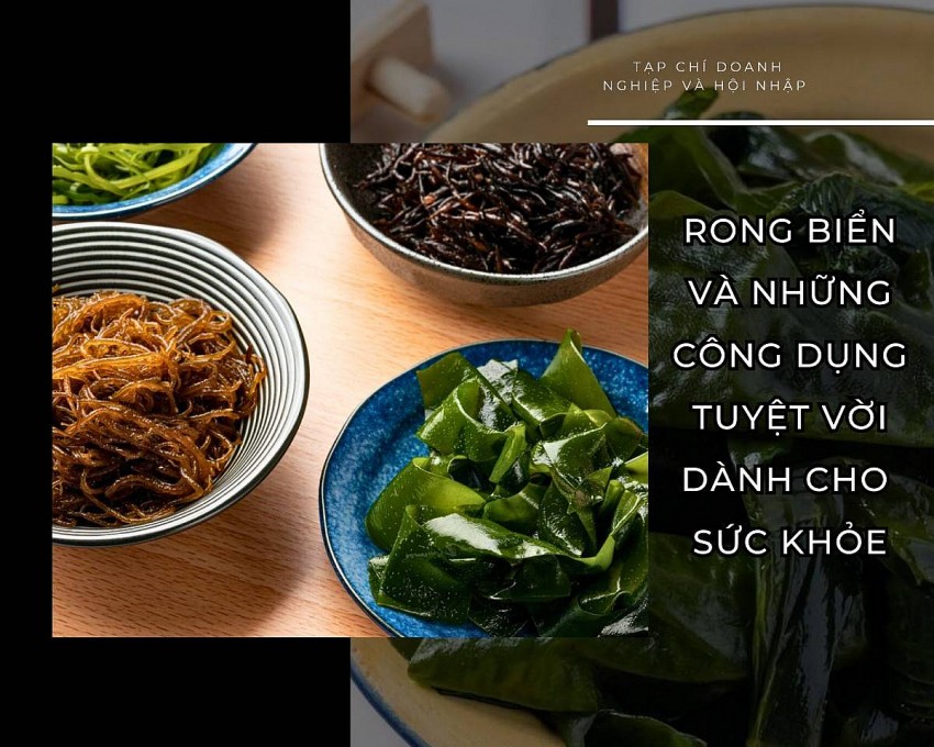 Rong biển và những công dụng tuyệt vời dành cho sức khoẻ