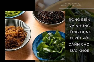 Rong biển và những công dụng tuyệt vời dành cho sức khoẻ