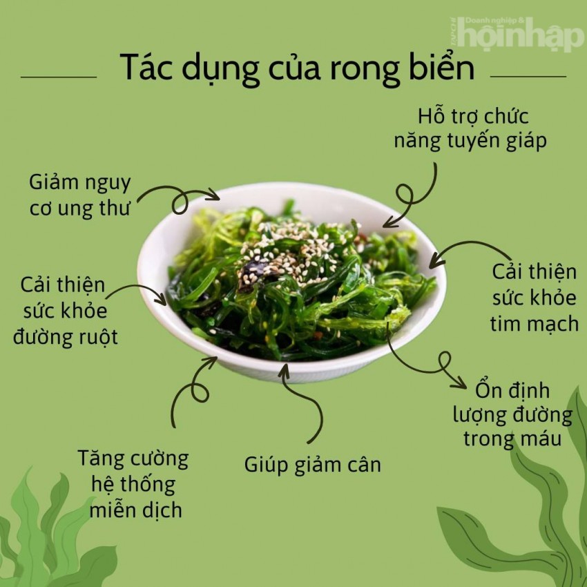 Rong biển và những công dụng tuyệt vời dành cho sức khoẻ