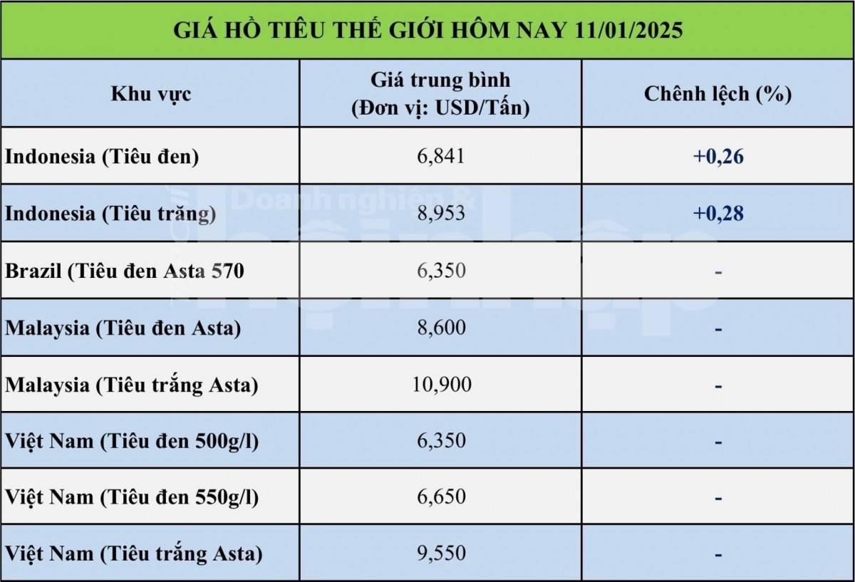 Giá tiêu hôm nay 11/1: