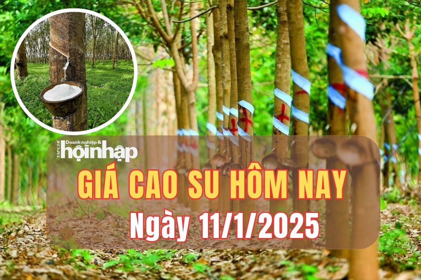 giá cao su