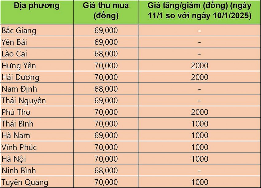 giá heo hơi giá heo hơi