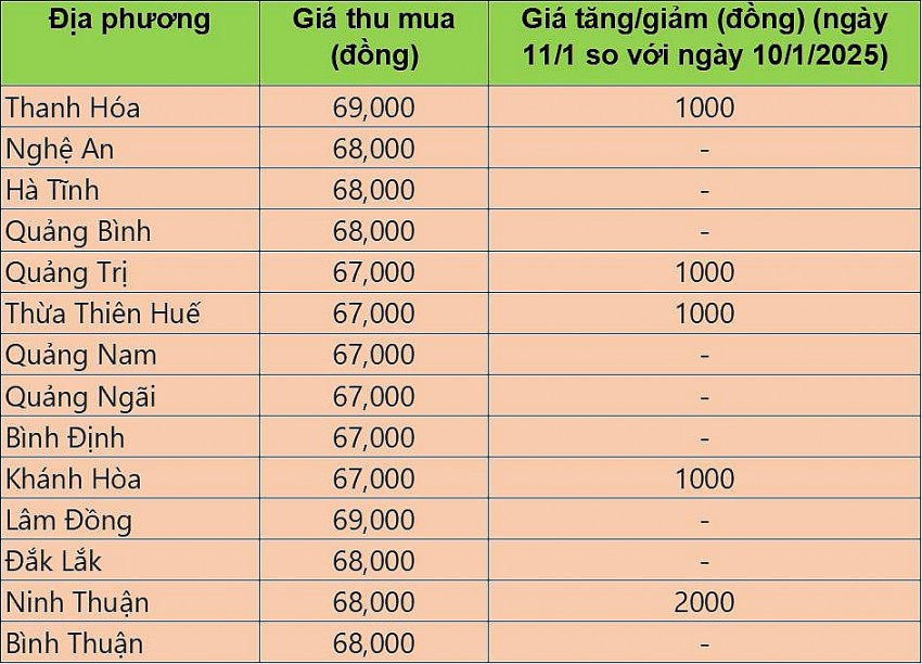 giá heo hơi giá heo hơi