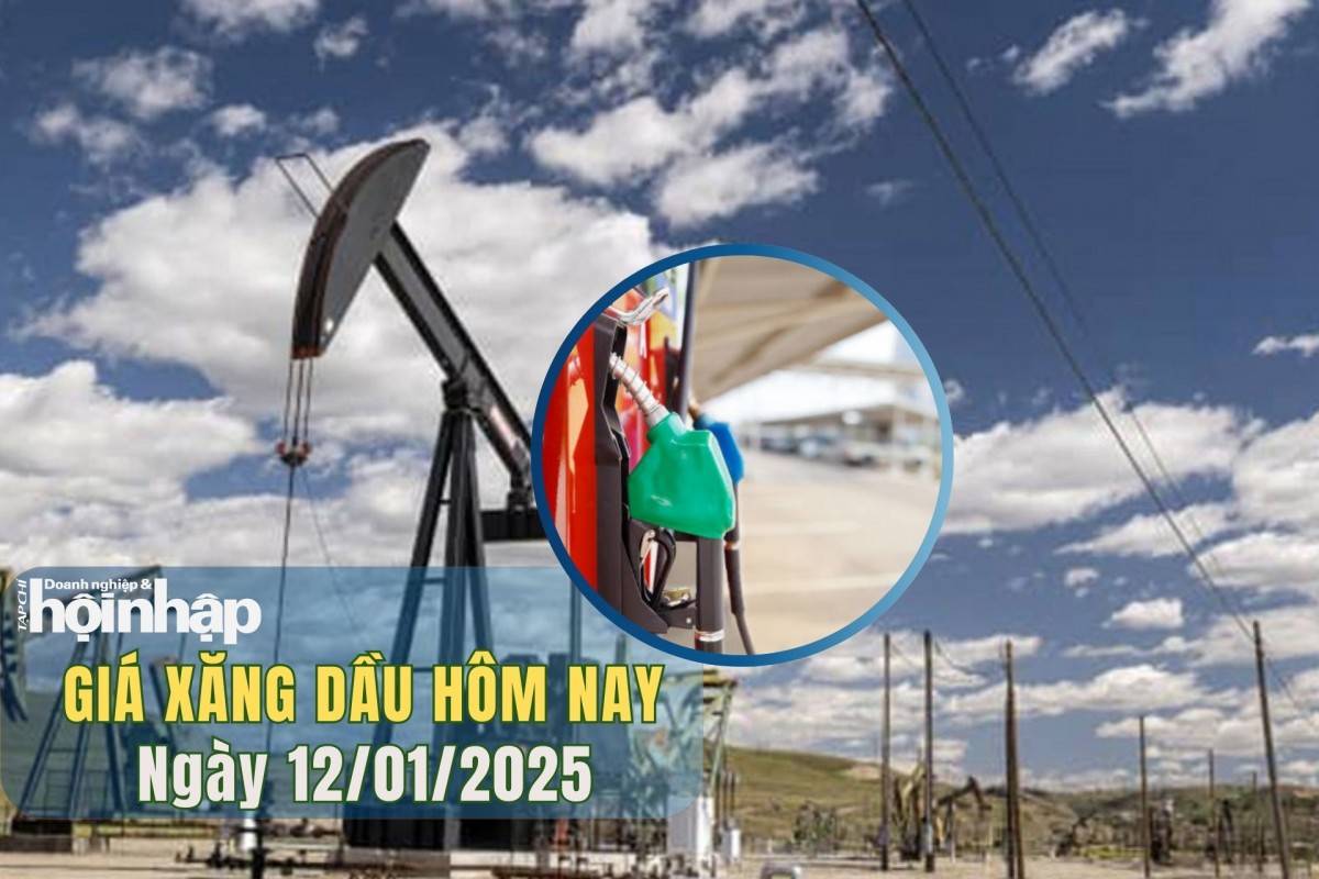 Giá xăng dầu hôm nay 12/1