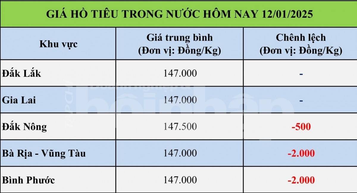 Bảng giá tiêu trong nước ngày 12/1/2025 Bảng giá tiêu trong nước ngày 12/1/2025