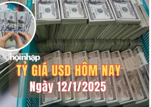 Tỷ giá USD hôm nay 12/1/2025: Đồng USD thế giới tăng tuần đạt mức  109,64 điểm