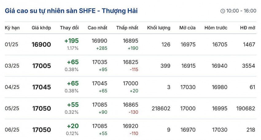 Giá cao su hôm nay 12/1/2025: Trong tuần qua, giá cao su trong nước biến động nhẹ