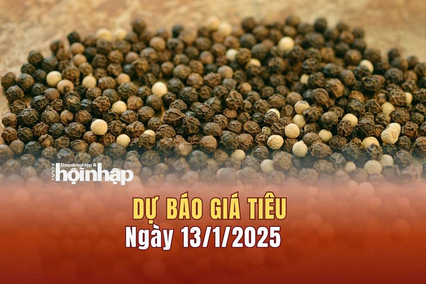 Dự báo giá tiêu 13/1/2025