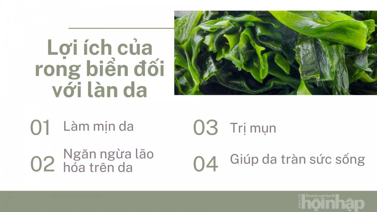 Bật mí một số tác dụng của rong biển trong làm đẹp Bật mí một số tác dụng của rong biển trong làm đẹp