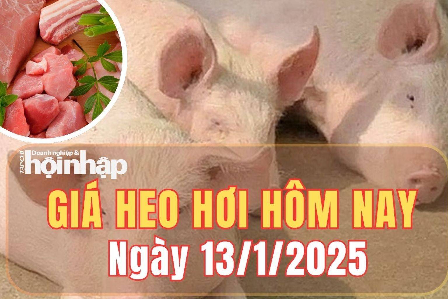 Giá heo hơi hôm nay 13/1/2025: Giá heo hơi tăng nhẹ tại thị trường miền Bắc trong phiên đầu tuần