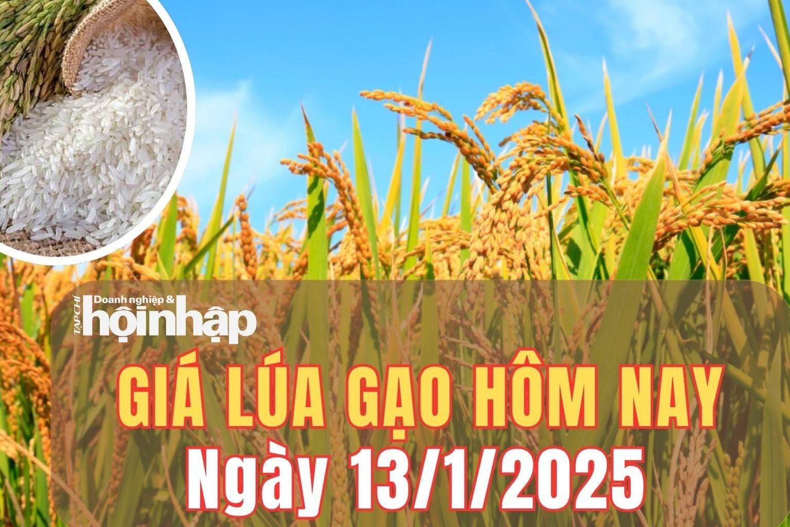 Giá lúa gạo hôm nay 13/1/2025: Giá lúa gạo duy trì ổn định trong phiên đầu tuần