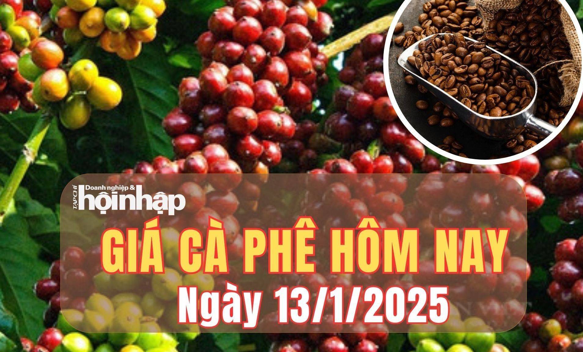 Giá cà phê hôm nay 13/1/2025: Giá cà phê trong nước kéo dài xu hướng giảm ở tuần thứ tư liên tiếp