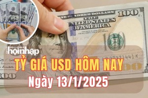 Tỷ giá USD hôm nay 13/1/2025: Đồng USD trong nước và thế giới đi ngang