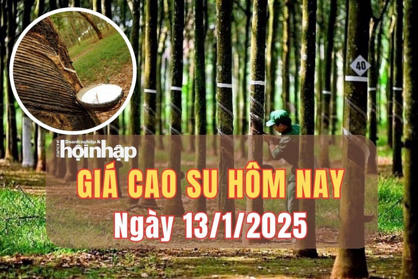 giá cao su