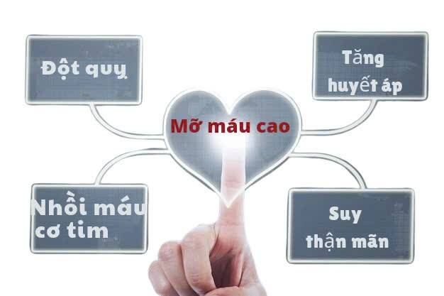 Mỡ máu cao: hiểm họa tiềm ẩn dẫn đến đột quỵ và cách phòng ngừa hiệu quả Mỡ máu cao: hiểm họa tiềm ẩn dẫn đến đột quỵ và cách phòng ngừa hiệu quả