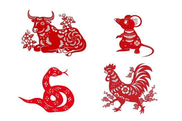 Tử vi - Vận số ngày 14/01/2025: tuổi Dậu hôm nay có thể sẽ gặp phải những thị phi tại nơi làm việc.