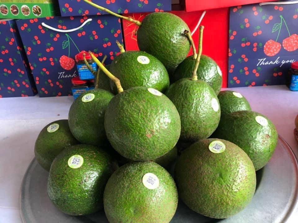 Sơn La: 72 doanh nghiệp, hợp tác xã được hỗ trợ truy xuất nguồn gốc