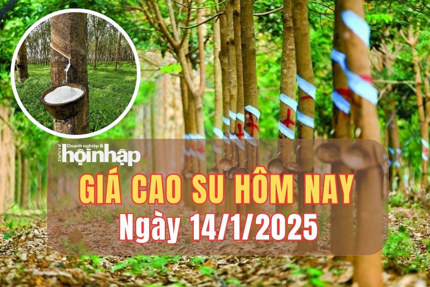 giá cao su