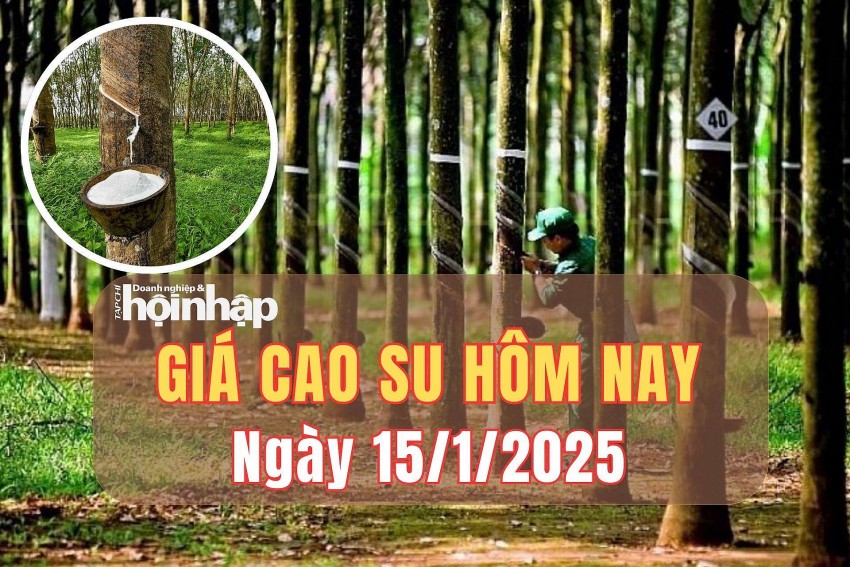 giá cao su giá cao su