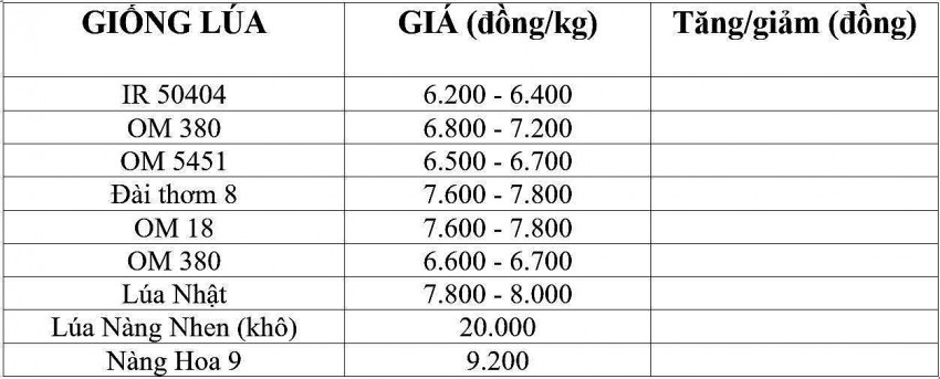 giá lúa gạo giá lúa gạo