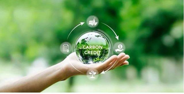 Sắp có quy định về quản lý trao đổi tín chỉ carbon ra nước ngoài