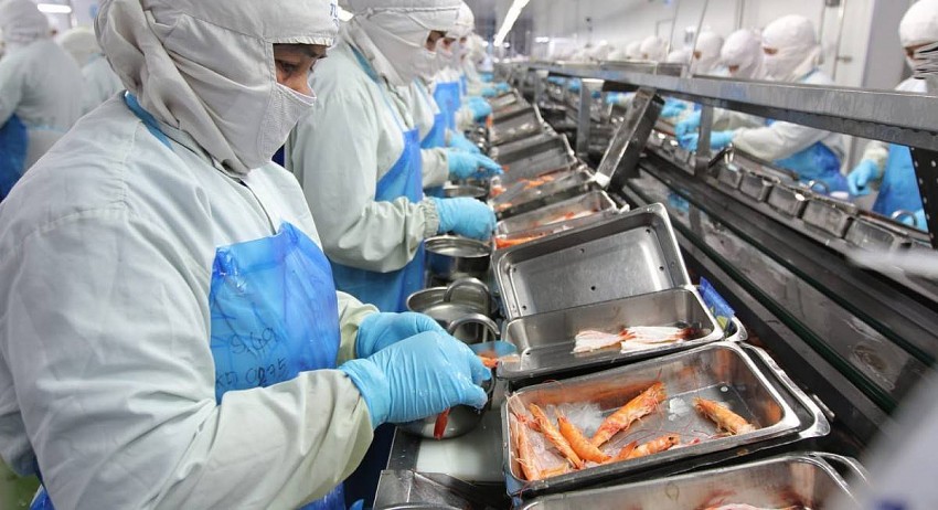 Xuất khẩu tôm cần gì để tăng tốc trong năm 2025 ?