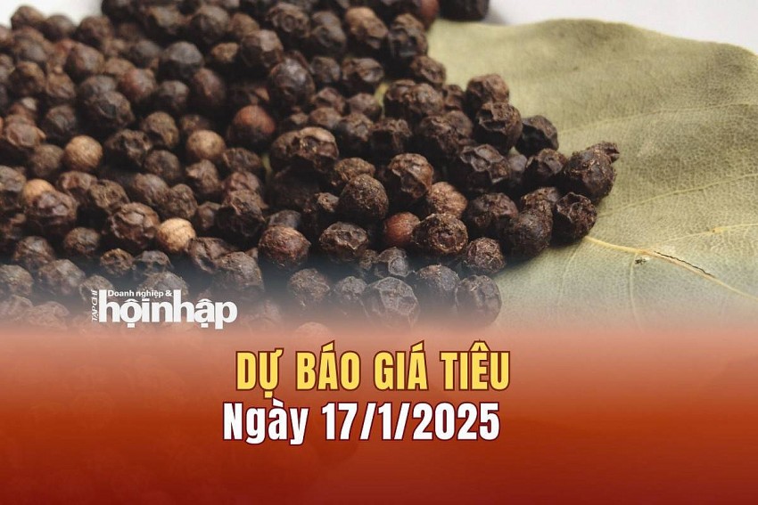 Dự báo giá tiêu 17/1/2025