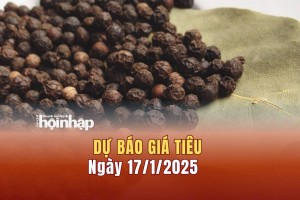 Dự báo giá tiêu 17/1: Giá tiêu trong nước tăng