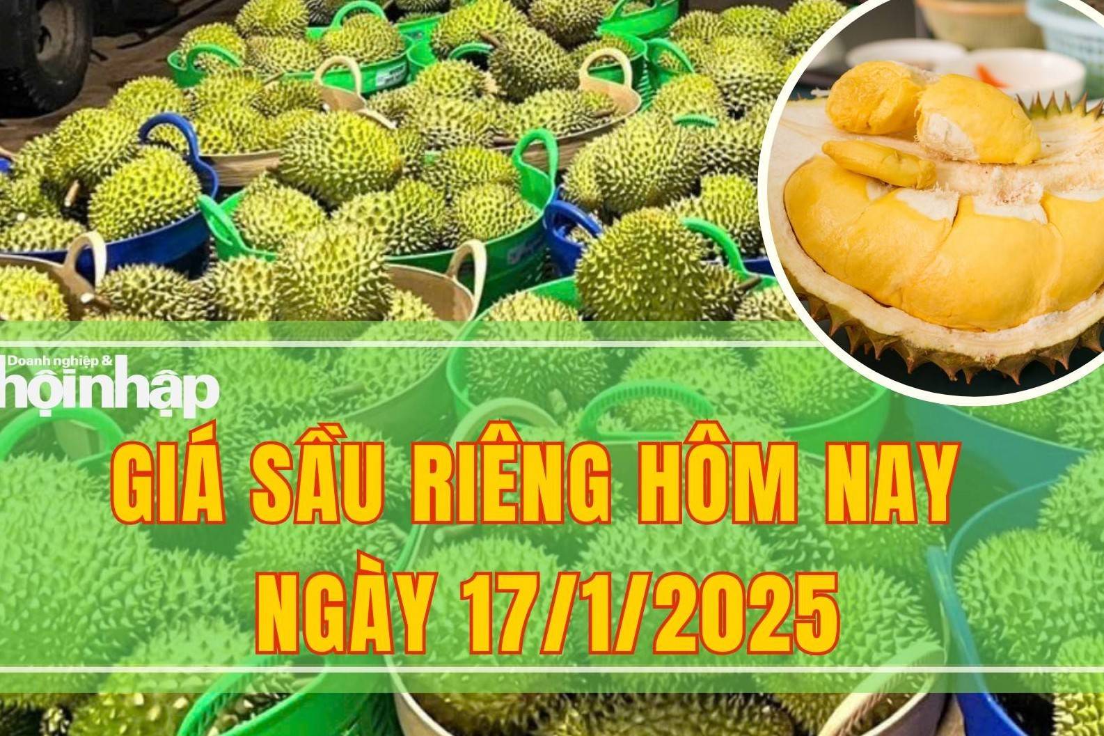 Giá sầu riêng hôm nay 17/1: Cận Tết, nhiều kho ngừng thu mua, giá giảm sâu