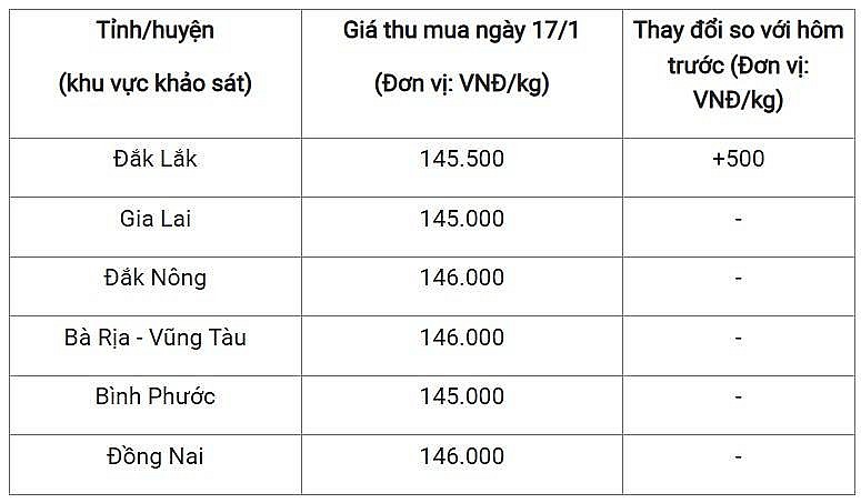 Bảng giá tiêu trong nước ngày 17/1/2025