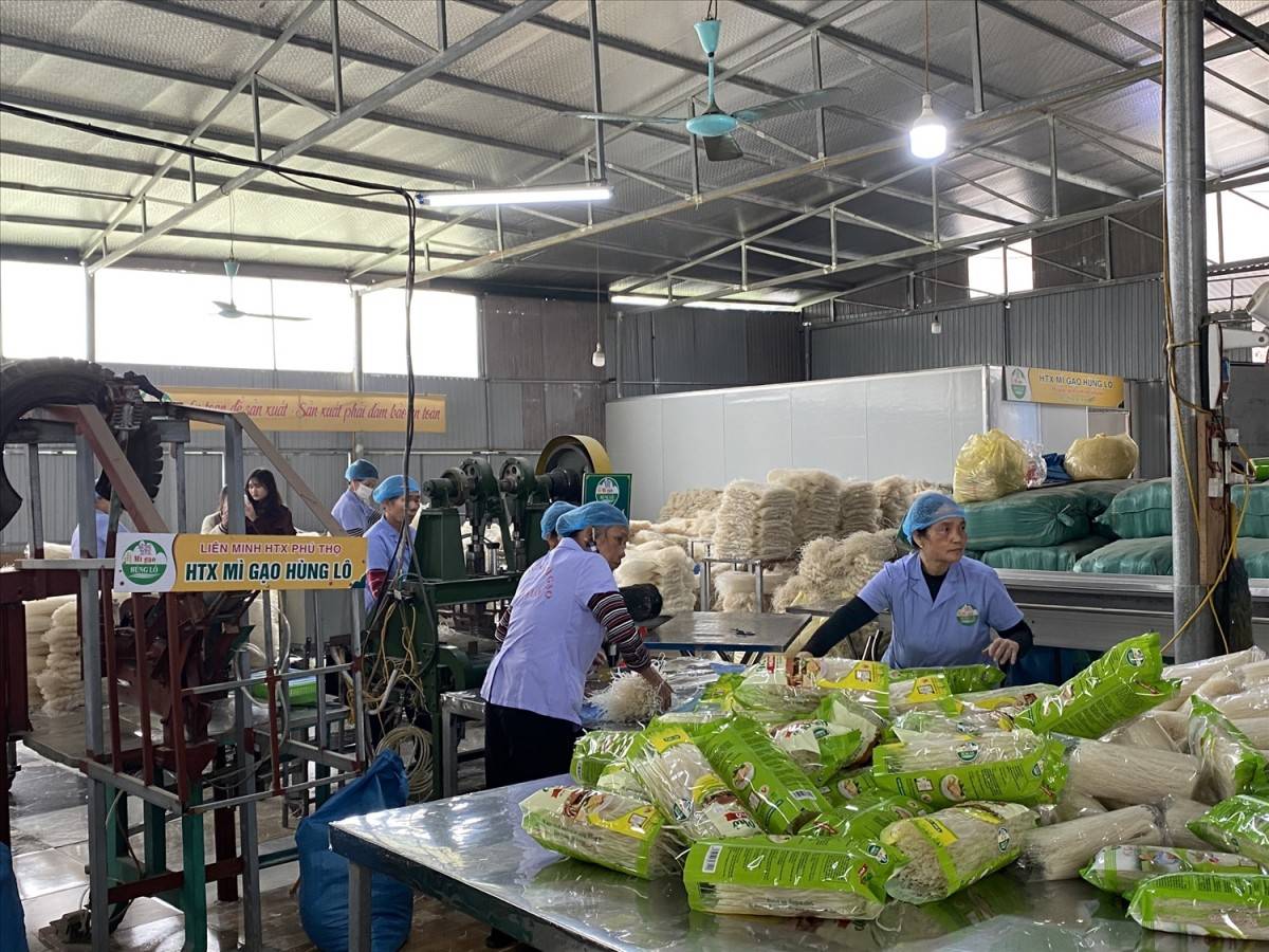 Phú Thọ vinh danh hai sản phẩm OCOP 5 sao cấp quốc gia