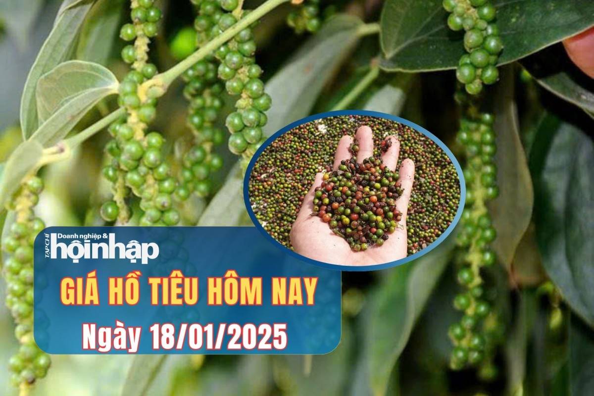Giá tiêu hôm nay 18/1: