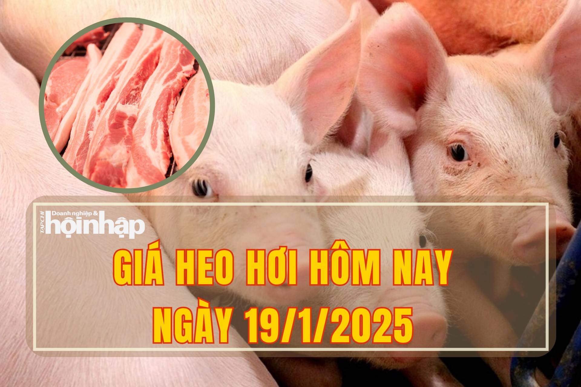 Giá heo hơi hôm nay 19/1: Cuối tuần thị trường giữ nguyên giá sau nhiều biến động tăng giảm