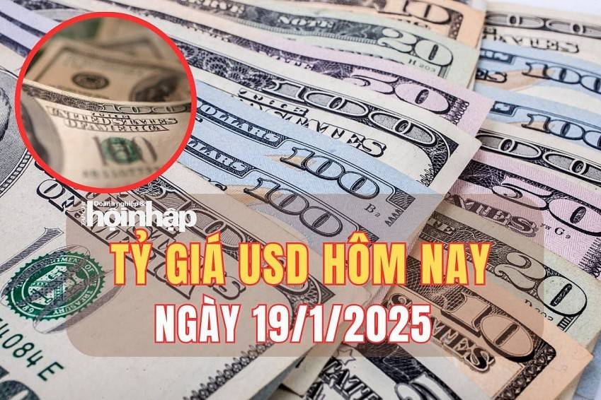 Tỷ giá USD hôm nay 19/1/2025: Đồng USD trong nước và thế giới đi ngang