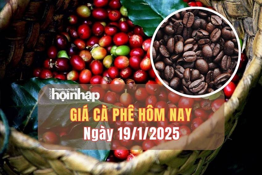 Giá cà phê hôm nay 19/1/2025: Giá cà phê tăng phiên thứ 3 liên tiếp, dao động từ 118.300 - 119.500 đồng/kg