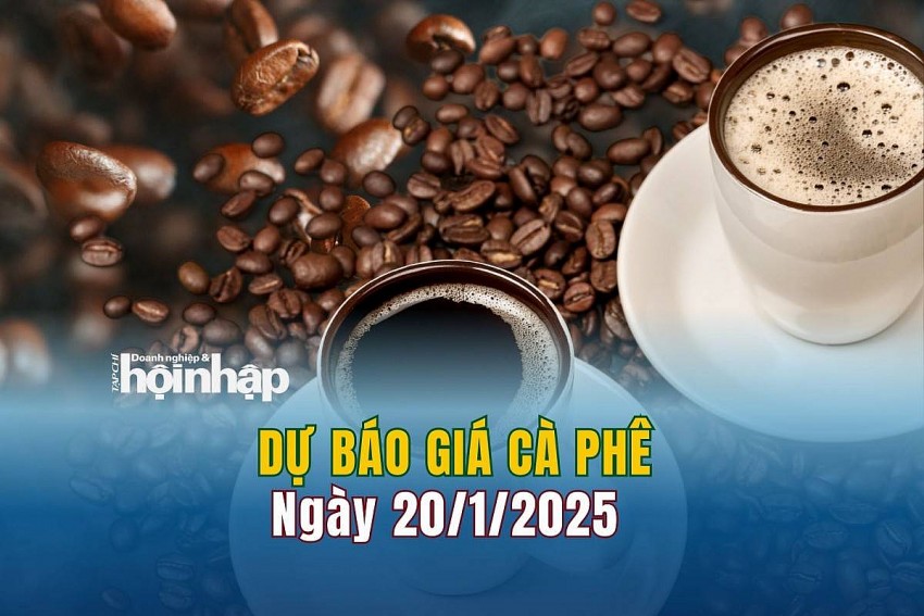Dự báo giá cà phê 20/1/2025 Dự báo giá cà phê 20/1/2025