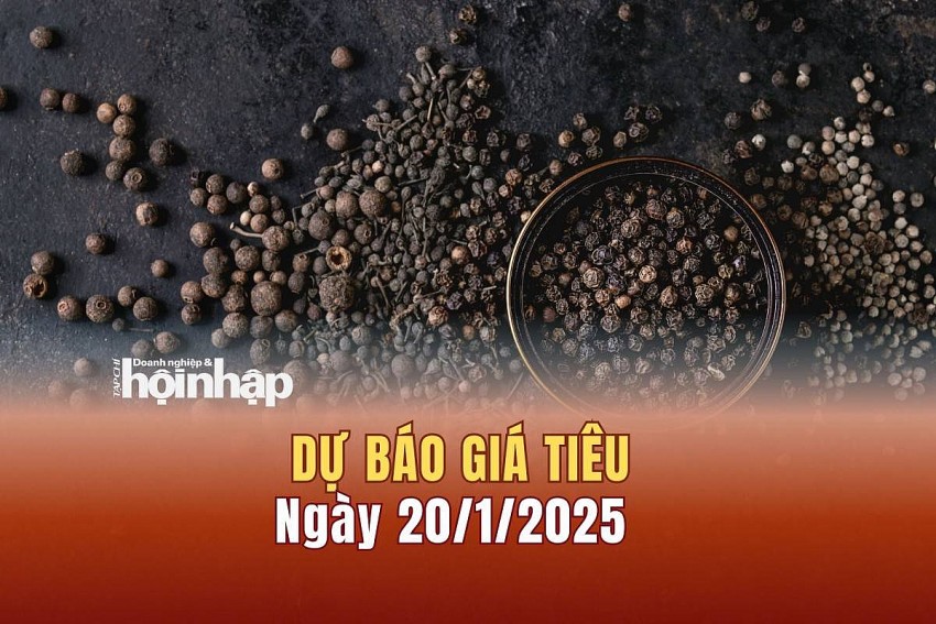 Dự báo giá tiêu 20/1/2025