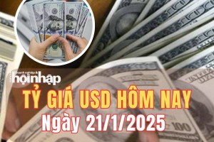 Tỷ giá USD hôm nay 21/1/2025: Sau lễ nhậm chức Tổng thống Mỹ, đồng USD thế giới giảm 1,26%