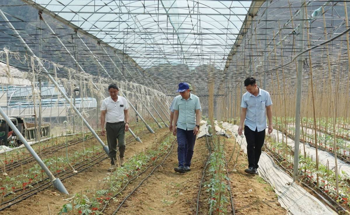 Sơn La: Tổng sản phẩm ngành nông, lâm nghiệp, thủy sản đạt 8.687 tỷ đồng Sơn La: Tổng sản phẩm ngành nông, lâm nghiệp, thủy sản đạt 8.687 tỷ đồng