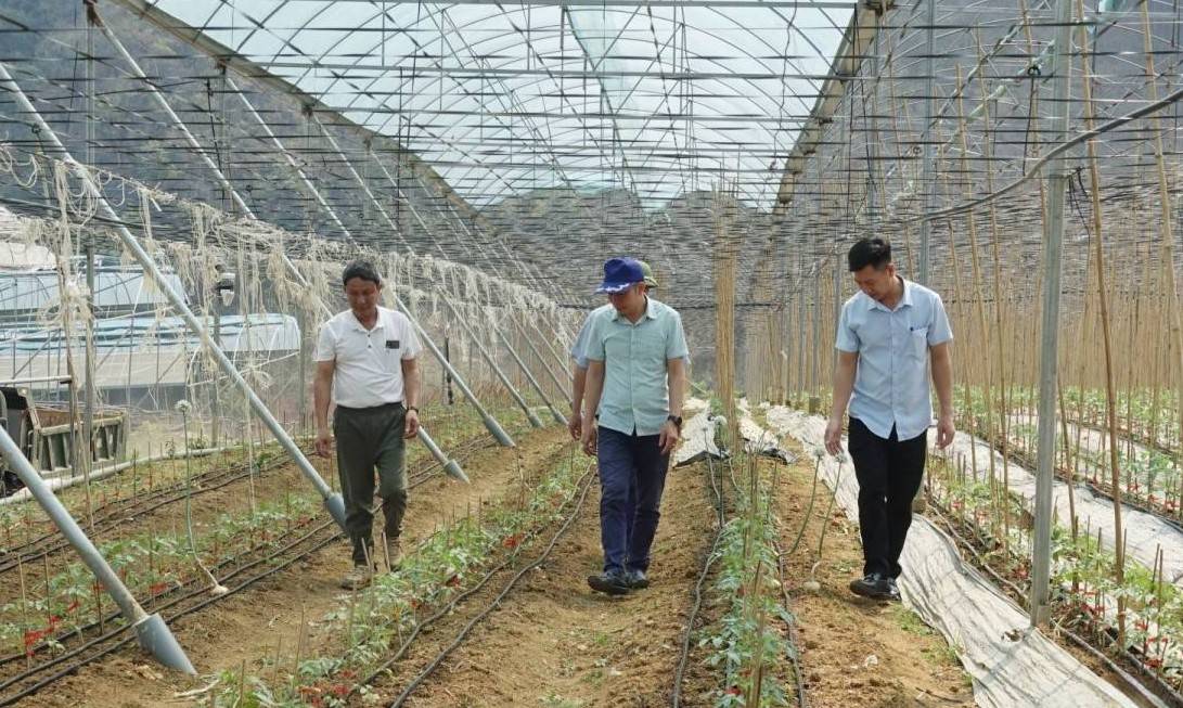 Sơn La: Tổng sản phẩm ngành nông, lâm nghiệp, thủy sản đạt 8.687 tỷ đồng