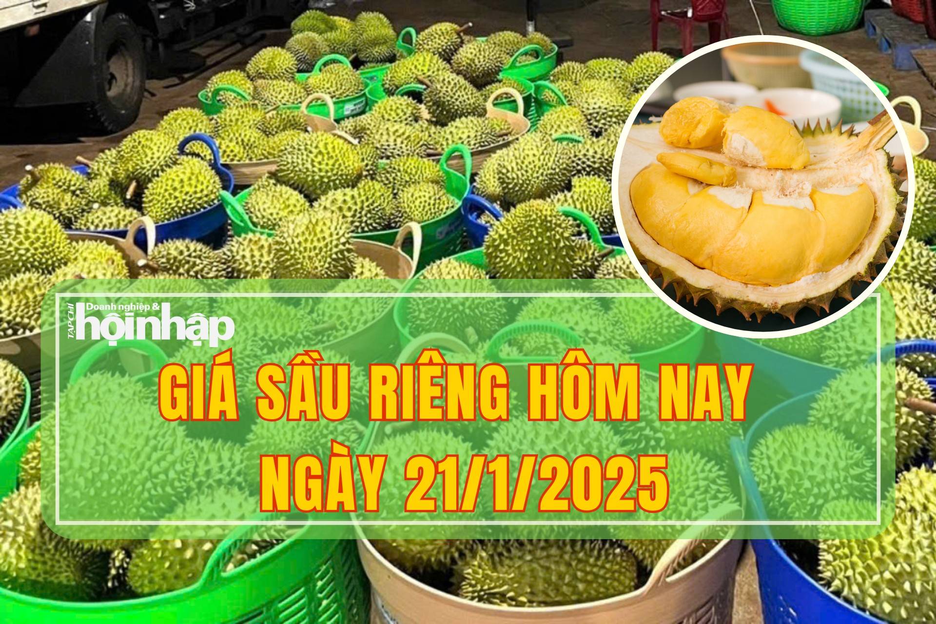 Giá sầu riêng hôm nay 21/1: Thị trường sầu riêng trong nước giảm mạnh Giá sầu riêng hôm nay 21/1: Thị trường sầu riêng trong nước giảm mạnh