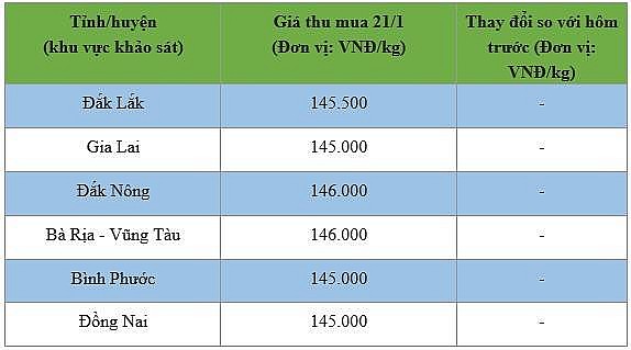 Bảng giá tiêu trong nước ngày 21/1/2025