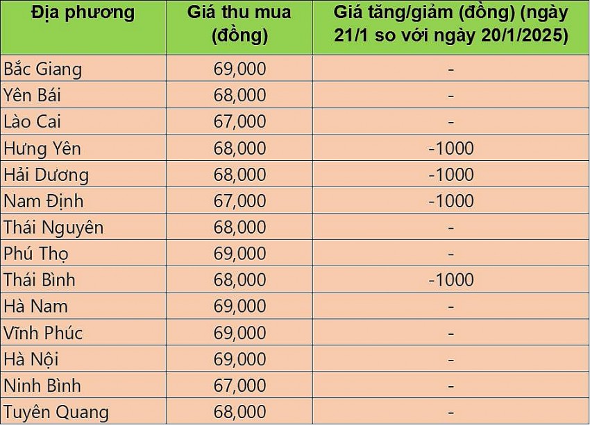 giá heo hơi giá heo hơi