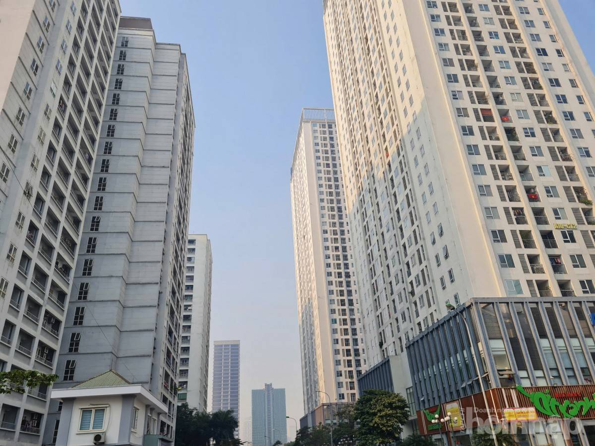 Thị trường bất động sản 2025: Cơ hội cho nhà đầu tư và người mua