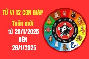 Tử vi tuần mới 60 hoa giáp từ 20/01 - 26/01/2025: Con giáp nào sẽ có Tài lộc, may mắn ?