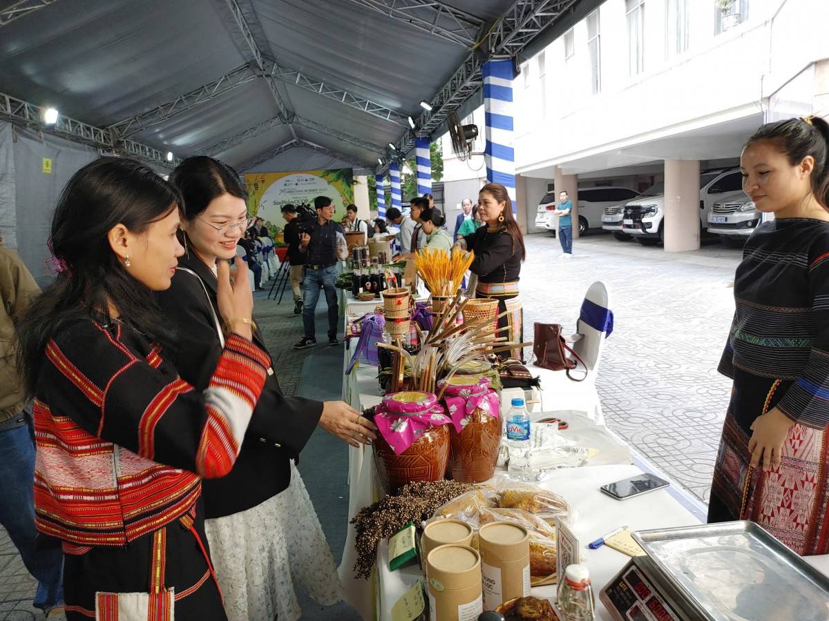 Hạt kơ nia nhặt từ rừng giá 300 nghìn/kg vẫn cháy hàng dịp tết Ất Tỵ