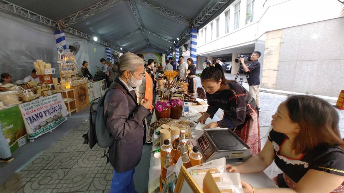 Hạt kơ nia nhặt từ rừng giá 300 nghìn/kg vẫn cháy hàng dịp tết Ất Tỵ